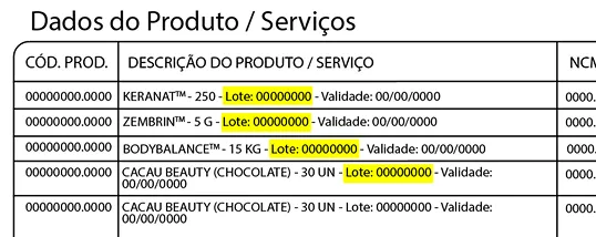 Exemplo Nota Fiscal